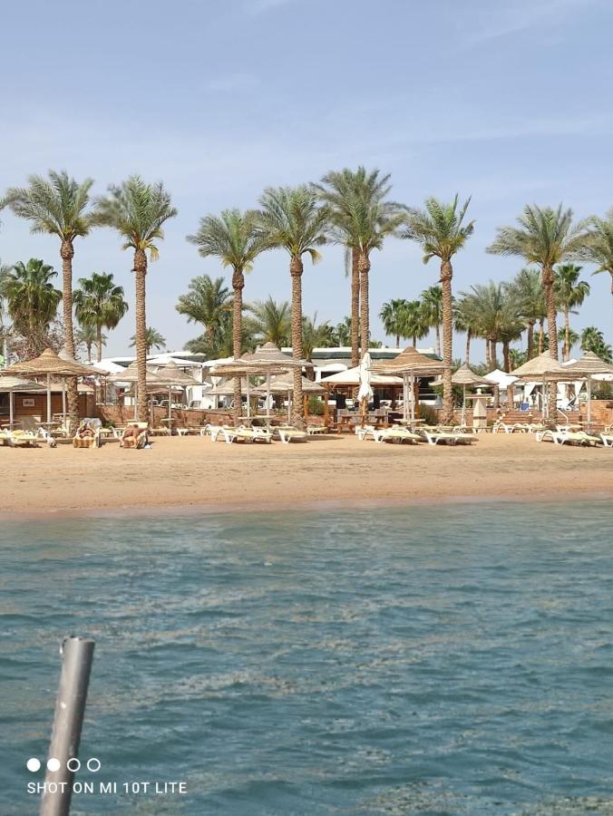 Seti Sharm Palm Beach Resort Families And Couples Only Exteriér fotografie