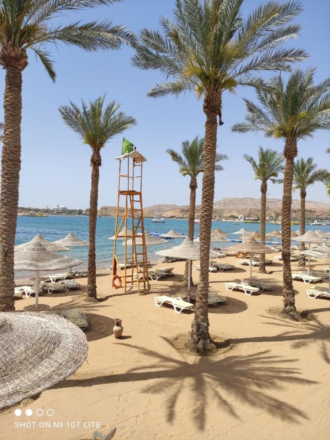 Seti Sharm Palm Beach Resort Families And Couples Only Exteriér fotografie