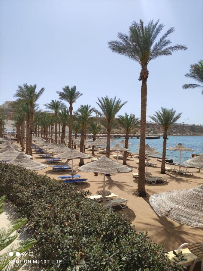 Seti Sharm Palm Beach Resort Families And Couples Only Exteriér fotografie